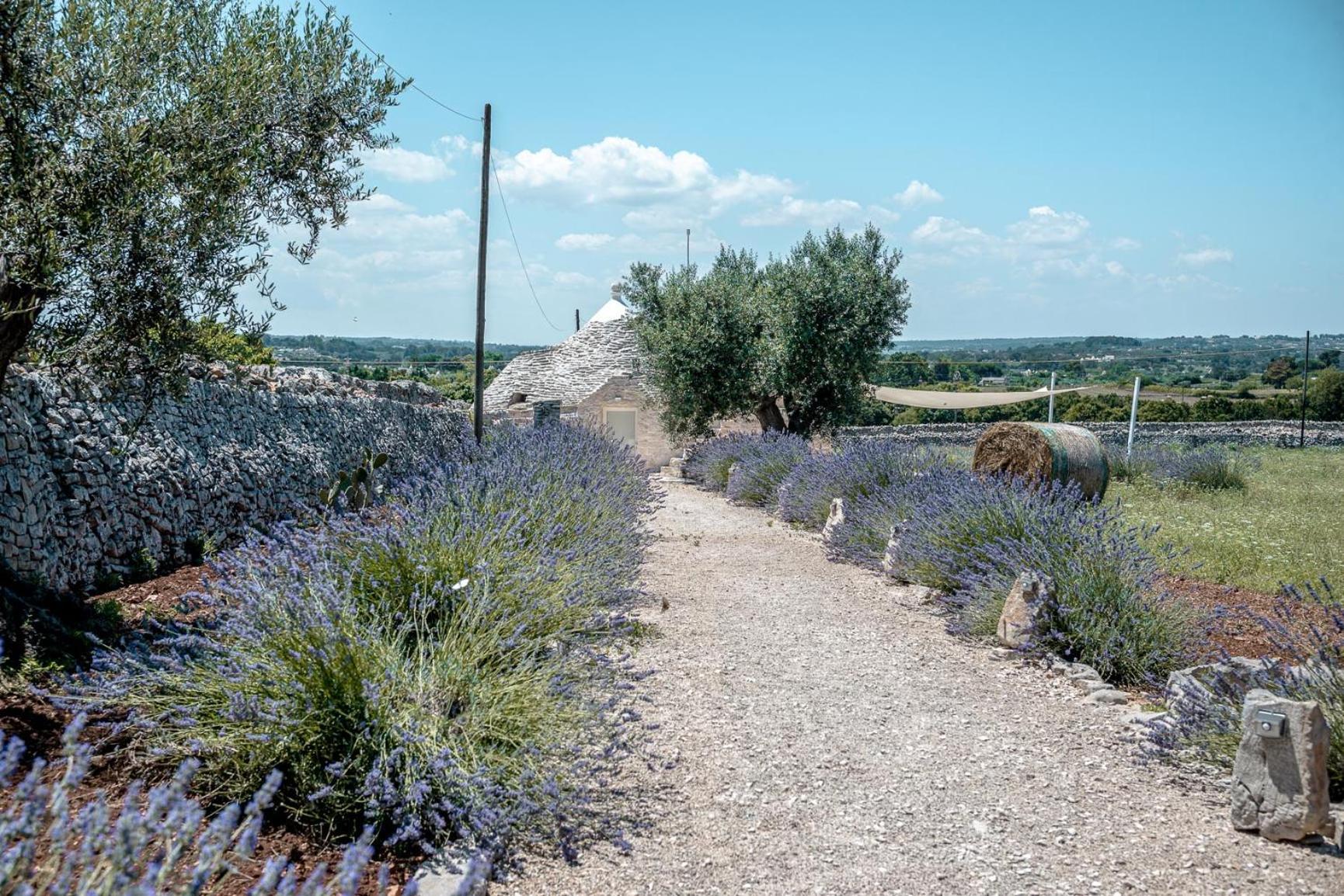 Masseria Pavone Martina Franca Dış mekan fotoğraf