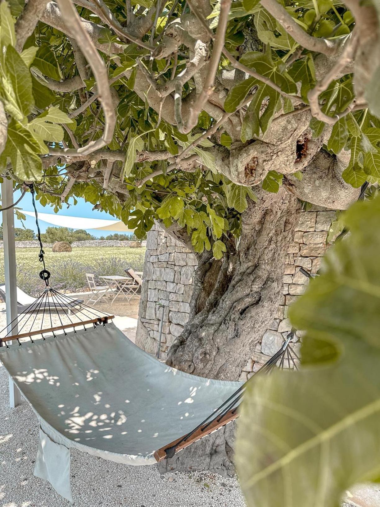 Masseria Pavone Martina Franca Dış mekan fotoğraf