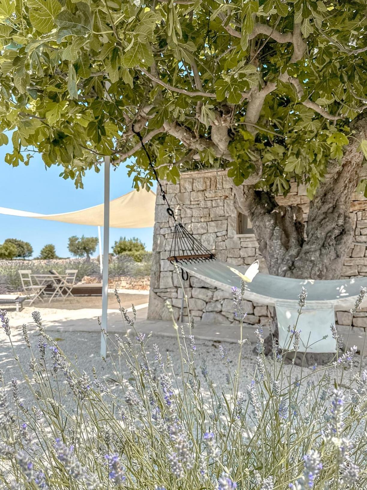 Masseria Pavone Martina Franca Dış mekan fotoğraf